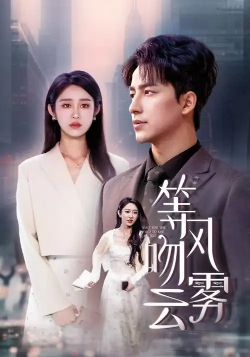 南城有雨治愈系电视剧在线观看