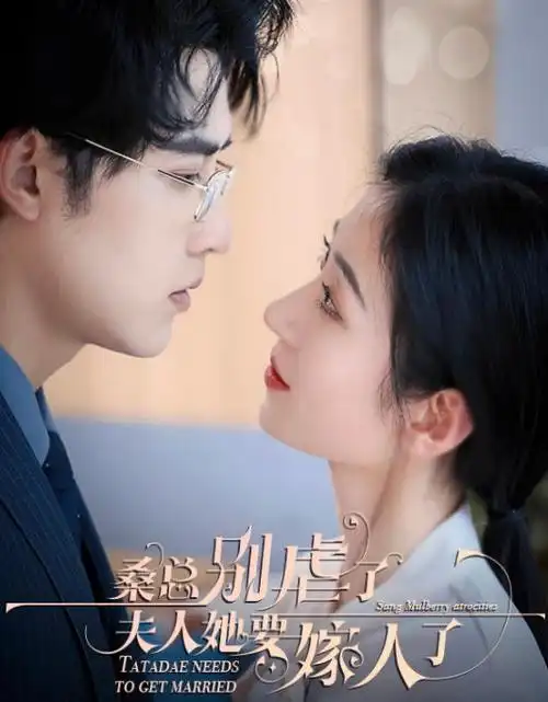 长夜将明热播电视剧全集免费在线观看